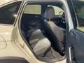 Volkswagen Taigo 1.0 TSI 110 CV DSG Gris - thumbnail 10