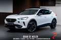 CUPRA Formentor 1.4 e-Hybrid VZ Performance Memory|LEDER|360°CAMER Weiß - thumbnail 1