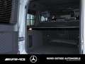 Mercedes-Benz G 450 d AMGNIGHT SUPERIOR AHK 20-ZOLL STANHDZG Plateado - thumbnail 19