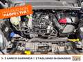Ford Puma 1.0 ecoboost h titanium s&s 125cv Blu/Azzurro - thumbnail 11