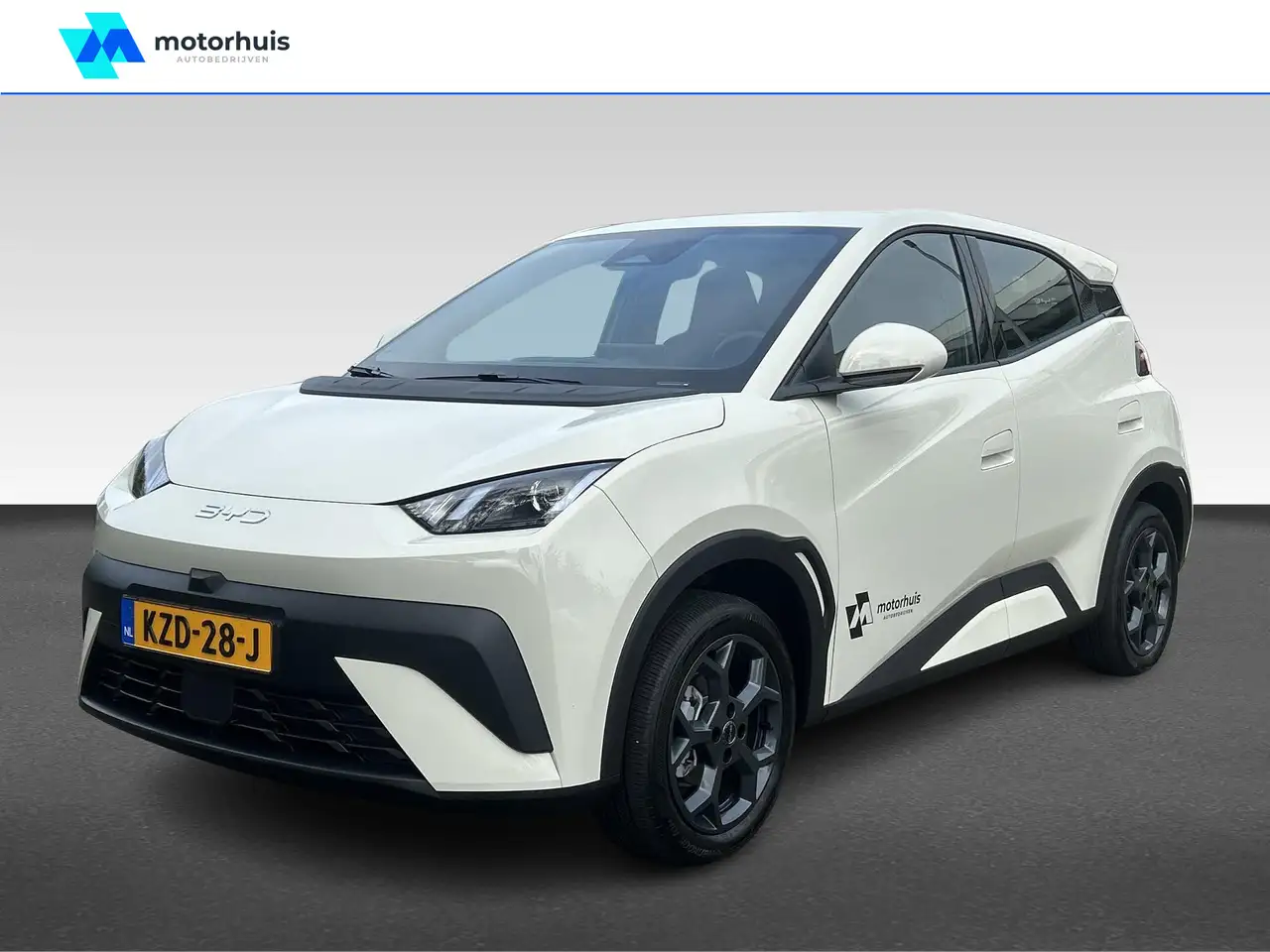 BYD Dolphin Surf