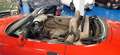 BMW Z3 2.8 24V Roadster*ITALIANA DA SEMPRE**BOOK SERVICE Rosso - thumbnail 12