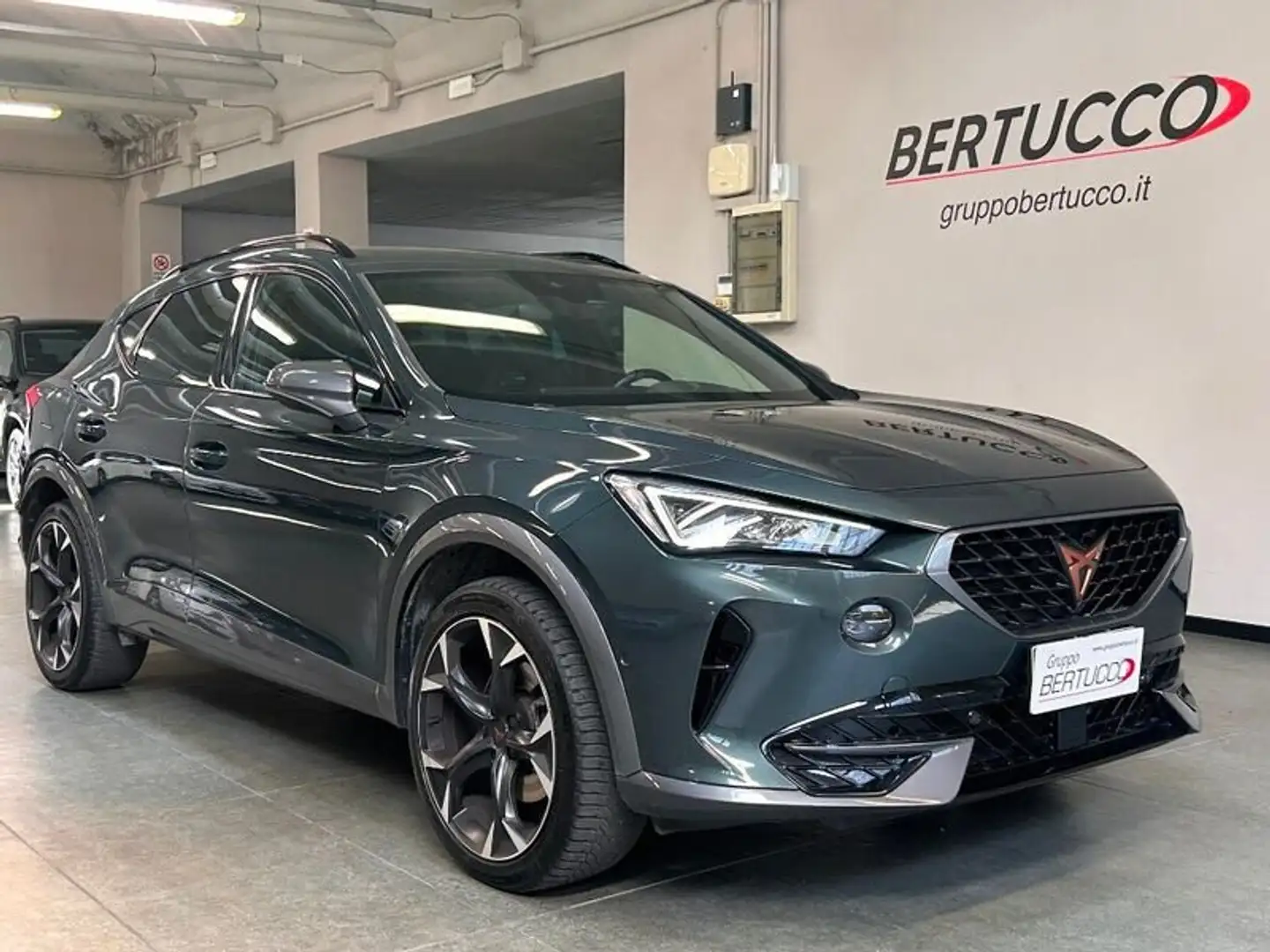 CUPRA Formentor 2.0 TDI 4Drive DSG Grün - 1