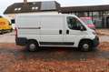 Fiat Ducato Kasten 130 L1H1 Navi Climatr. netto 6695€ Weiß - thumbnail 3