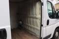 Fiat Ducato Kasten 130 L1H1 Navi Climatr. netto 6695€ Weiß - thumbnail 16