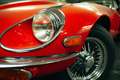 Jaguar E-Type Serie III Coupe/Roadster Rot - thumbnail 14