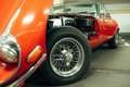 Jaguar E-Type Serie III Coupe/Roadster Rot - thumbnail 7
