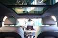 Audi Q5 40 TDI Sportback SPB Quattro S-Line Plus - TETTO Grau - thumbnail 22