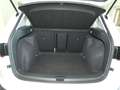SEAT Ateca 1.5 TSI Style,1.Hand,Navi,LED,Tempo,S-Heft Blanc - thumbnail 24