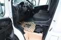 Fiat Ducato 35 2.2 Mjt 180CV  XLH3 Furgone Maxi L4H3 NUOVO Bianco - thumbnail 10
