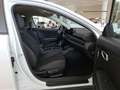 Kia K4 HB/Titan/1.0 TGDI/MT6/115/P1/MY26 AUTO STAHL WI... Weiß - thumbnail 5