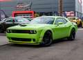 Dodge Challenger Scatpack WB 6,4l Last Call MY24,ACC Verde - thumbnail 4