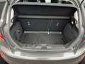 Ford Fiesta 1.0 EcoBoost Titanium +ACC+CAM+SHZ+CARPLAY+LHZ+ Grigio - thumbnail 14