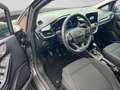Ford Fiesta 1.0 EcoBoost Titanium +ACC+CAM+SHZ+CARPLAY+LHZ+ Gris - thumbnail 16