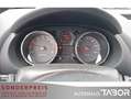 Nissan Qashqai 2.0 acenta 4x2 AHK PDC LM Klimaauto. BT Grau - thumbnail 5
