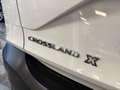 Opel Crossland X 120 Jahre*Kamera*LED Schein*Aluräd Weiß - thumbnail 9