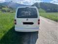Volkswagen Caddy Caddy Life BlueMotion Tech. 1,9 TDI D-PF White - thumbnail 3