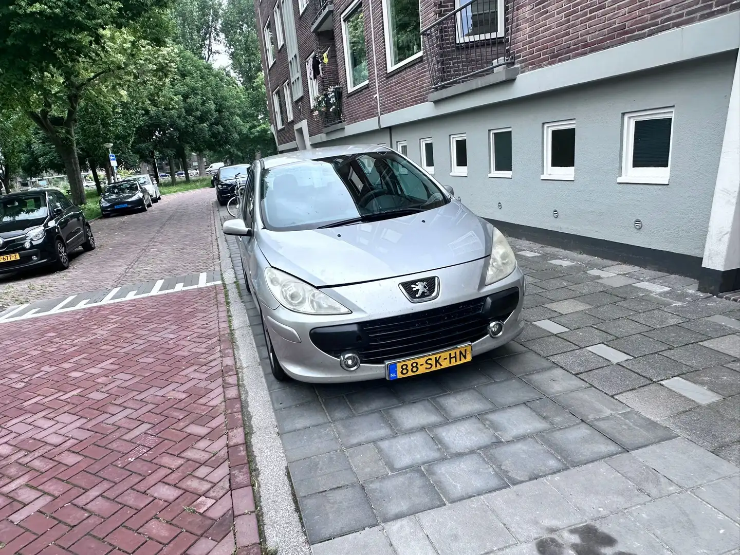 Peugeot 307 1.6-16V XS Grijs - 1