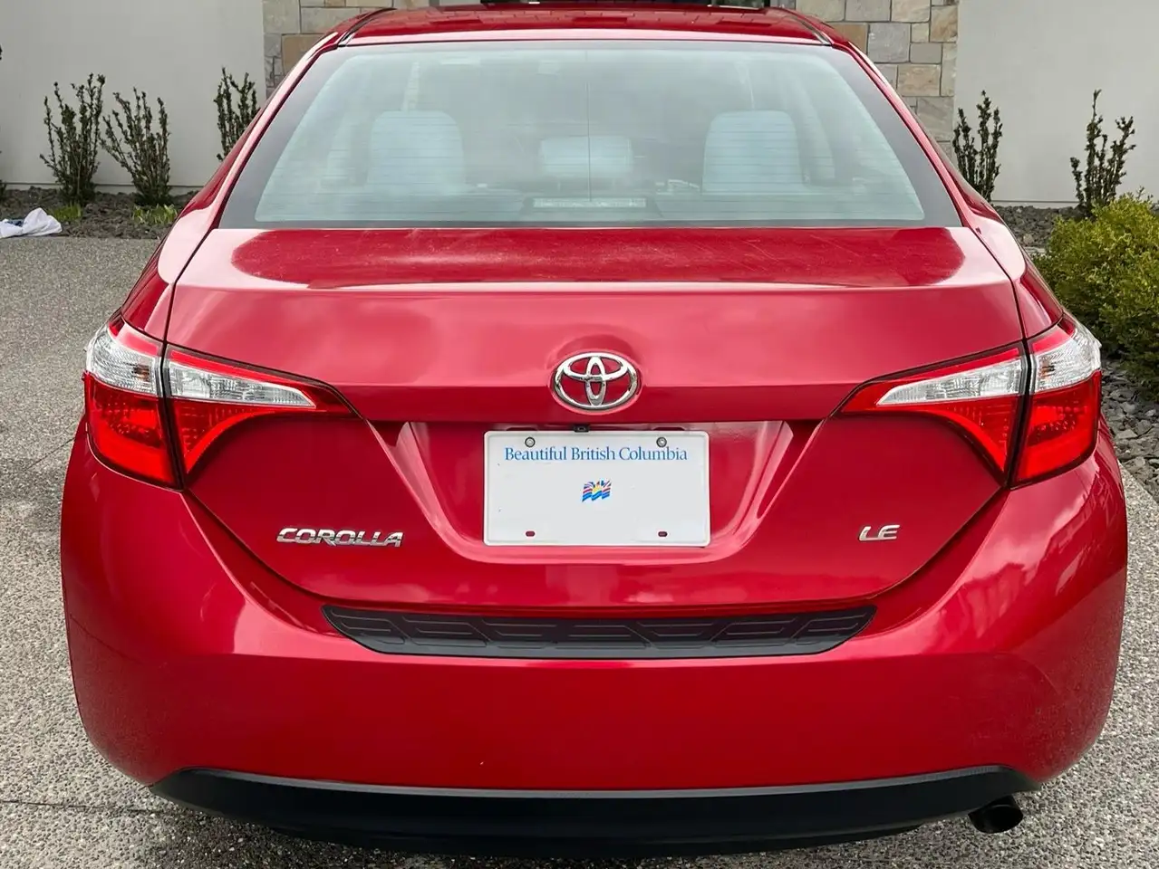 Toyota Corolla photo Toyota Corolla
