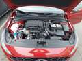 Hyundai i30 i30 Kombi - PD GO Plus 1.0 TGDI c5ku2 Rot - thumbnail 19