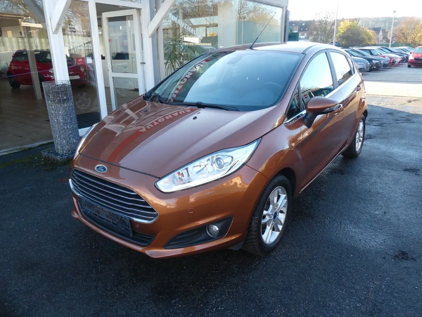 Ford Fiesta Titanium Braun - 2