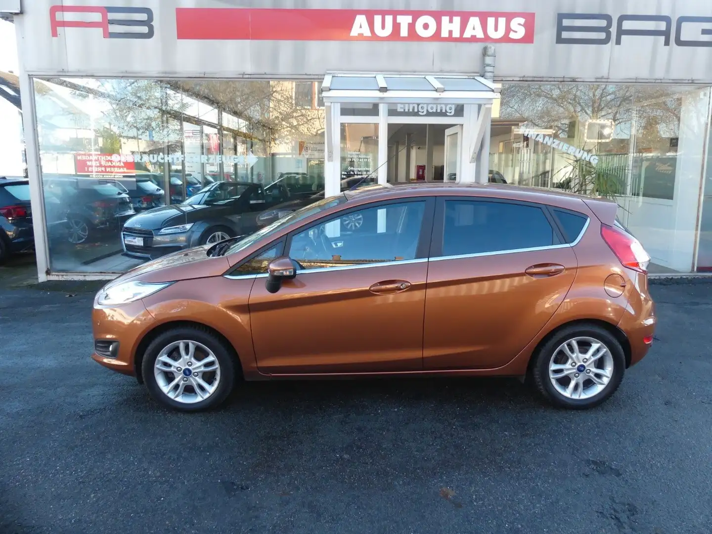 Ford Fiesta Titanium Braun - 1