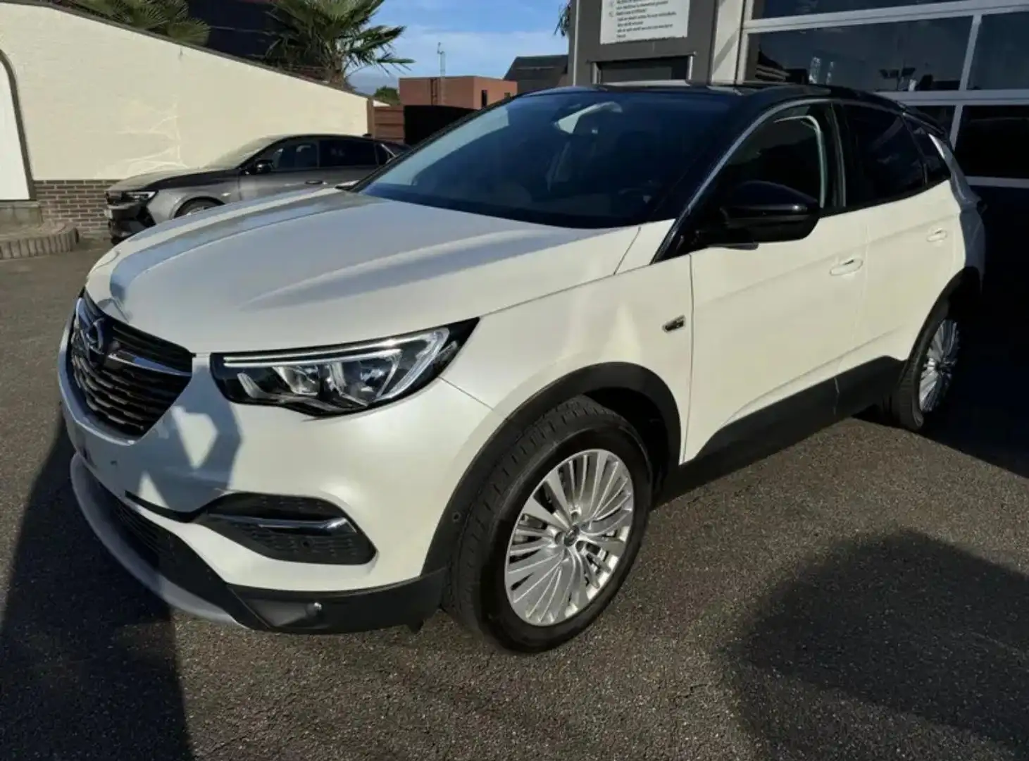 Opel Grandland X Grandland X 1.5 CDTI DesignLine - Panoramisch dak Wit - 1