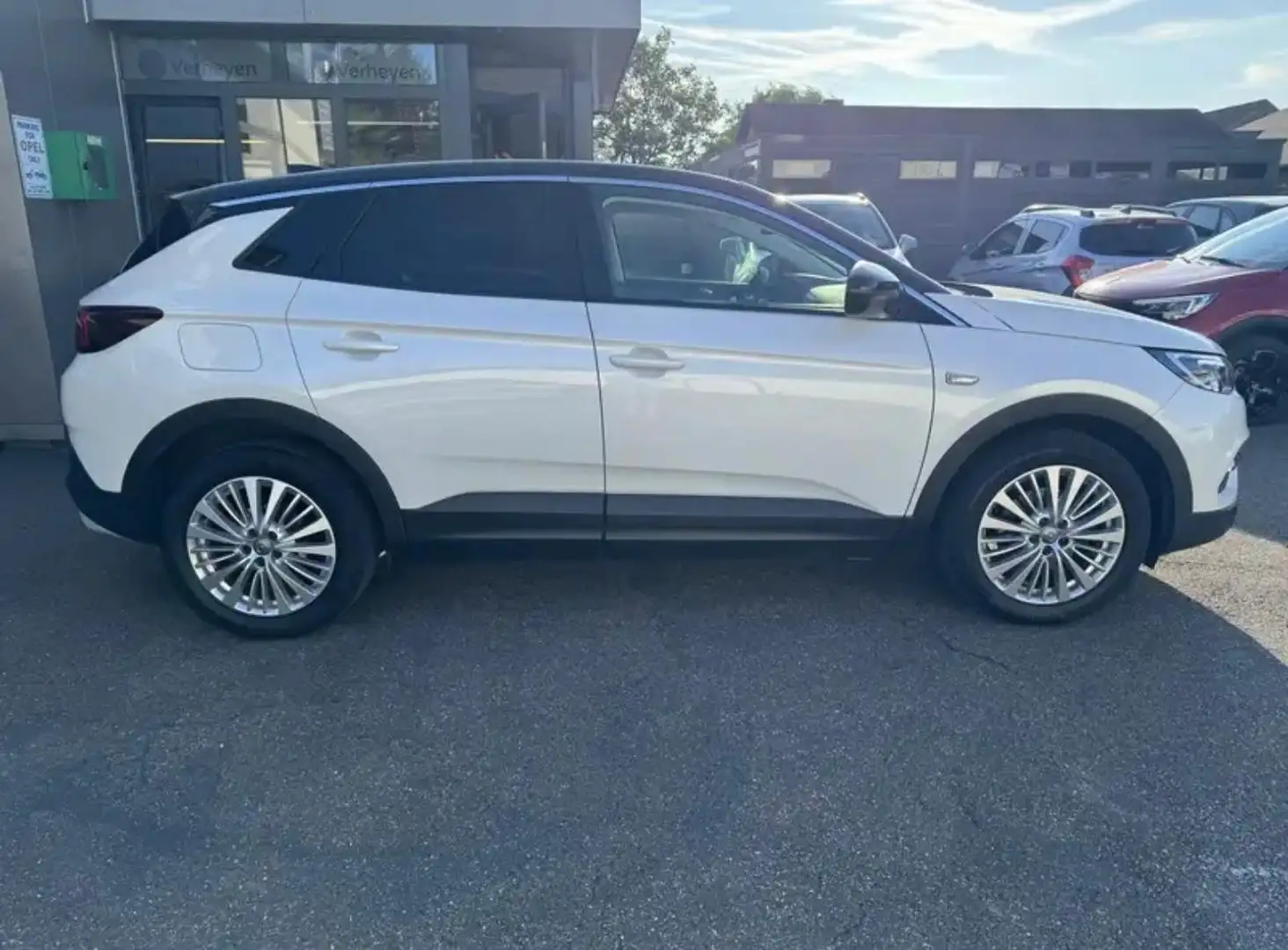 Opel Grandland X Grandland X 1.5 CDTI DesignLine - Panoramisch dak Wit - 2
