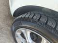Fiat Punto 5p 1.3 mjt 16v Street 75cv - thumbnail 10