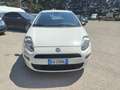 Fiat Punto 5p 1.3 mjt 16v Street 75cv - thumbnail 2