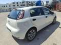 Fiat Punto 5p 1.3 mjt 16v Street 75cv - thumbnail 4