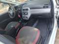 Fiat Punto 5p 1.3 mjt 16v Street 75cv - thumbnail 8