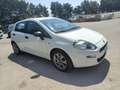 Fiat Punto 5p 1.3 mjt 16v Street 75cv - thumbnail 3