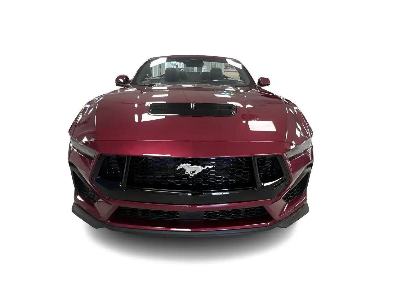 Ford Mustang fotografie Ford Mustang