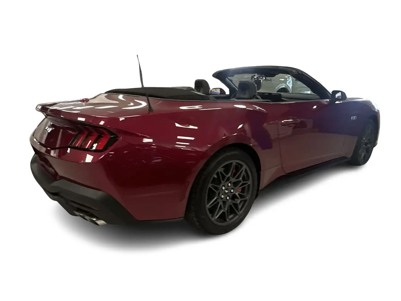 Ford Mustang fotografie Ford Mustang