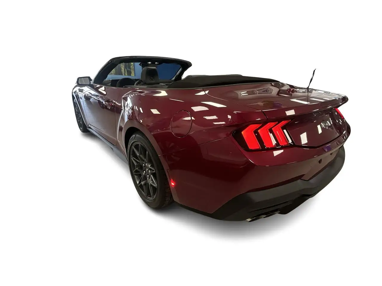 Ford Mustang fotografie Ford Mustang