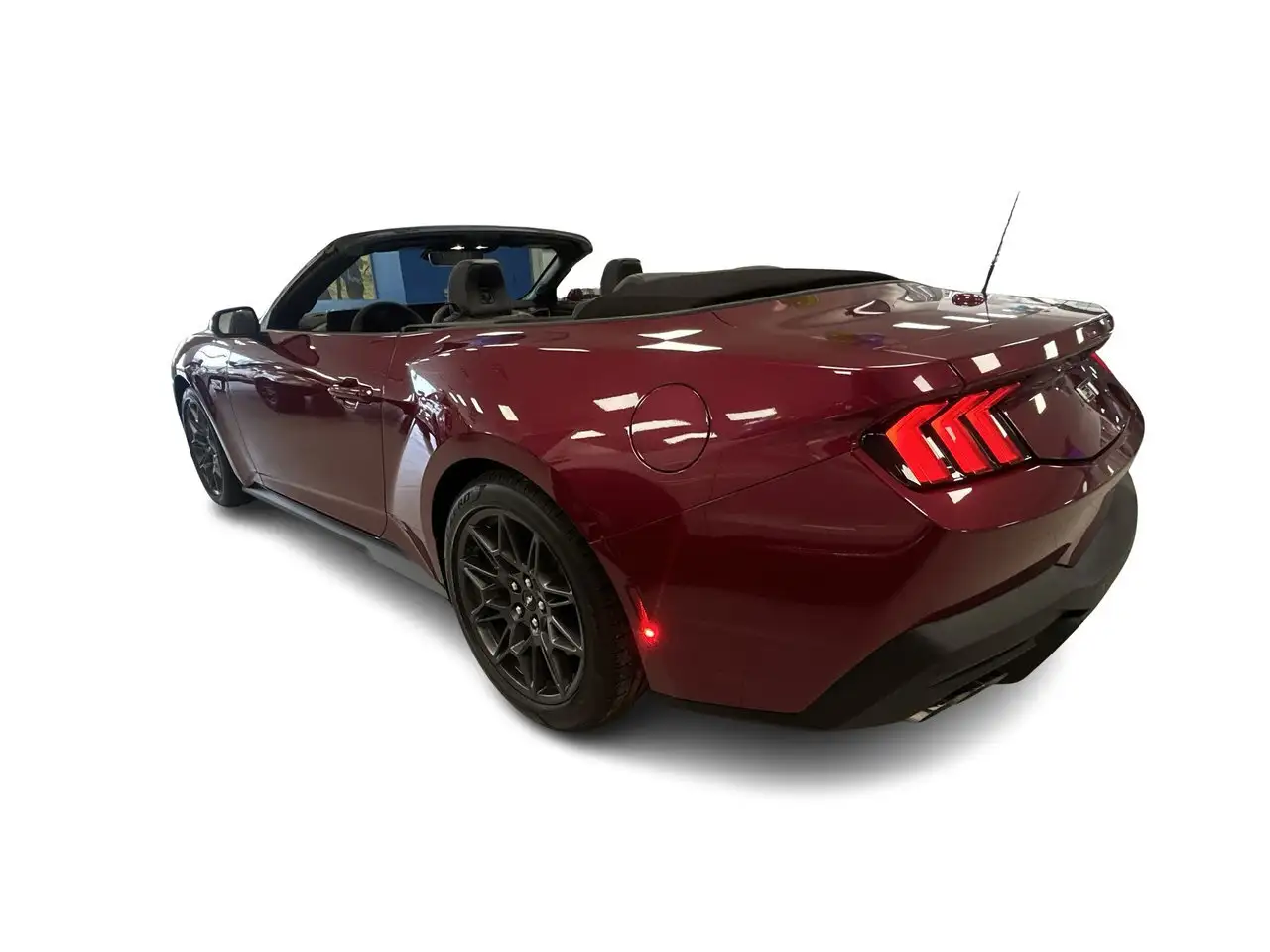 Ford Mustang fotografie Ford Mustang