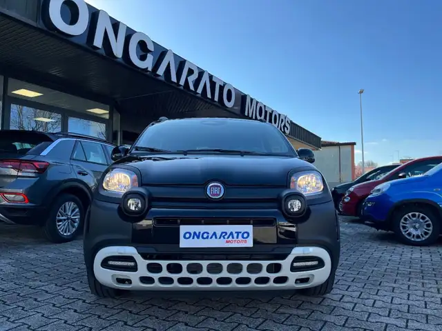 Fiat Panda view 2