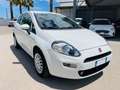 Fiat Punto 1.3 MJT 75CV 3 porte Van Easy 2 posti E5 Blanc - thumbnail 16