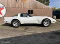 Chevrolet Corvette USA C3 v8 Targa 1979 Blanc - thumbnail 29