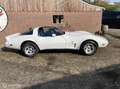 Chevrolet Corvette USA C3 v8 Targa 1979 Blanc - thumbnail 2