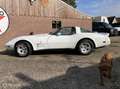 Chevrolet Corvette USA C3 v8 Targa 1979 Blanc - thumbnail 26