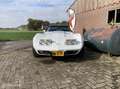 Chevrolet Corvette USA C3 v8 Targa 1979 Blanc - thumbnail 5