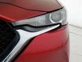 Mazda CX-5 CX-5 2.2 Business 2wd 150cv Rosso - thumbnail 14