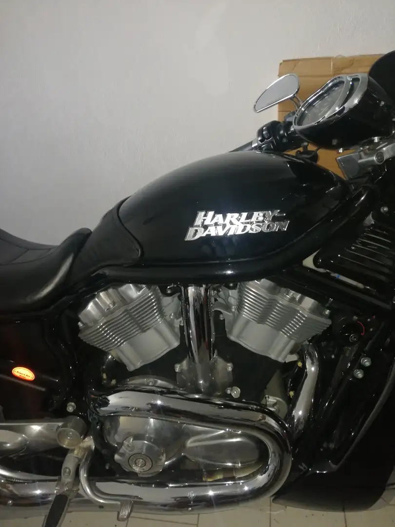 Harley-Davidson Street Rod VRSCR Nero - 1