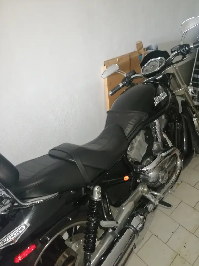 Harley-Davidson Street Rod VRSCR Nero - 2