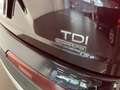 Audi Q7 2ª serie 3.0 TDI 218 CV ultra quattro tiptronic B Nero - thumbnail 12