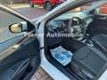 Skoda Fabia Active Sitzh. PDC Telefon Service neu Weiß - thumbnail 7