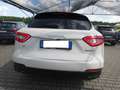Maserati Levante Levante 3.0 V6 250cv auto Bianco - thumbnail 5