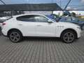 Maserati Levante Levante 3.0 V6 250cv auto Bianco - thumbnail 4